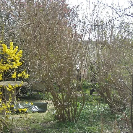 Agroturismo Fuglsang *