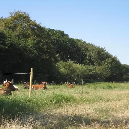 Fuglsang * Skattebølle