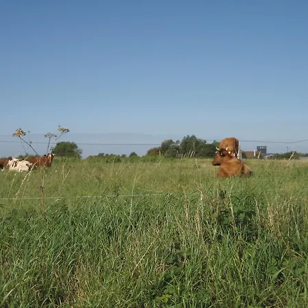 Fuglsang Agroturismo *