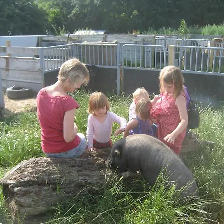 Fuglsang * Skattebølle