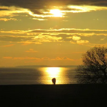 Fuglsang Agroturismo *