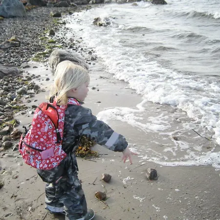 Fuglsang * Skattebølle